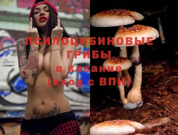 таблы Верея