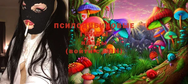 jwh Верхний Тагил
