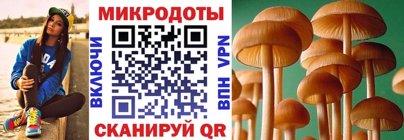 Галлюциногенные грибы мухоморы  Пермь 