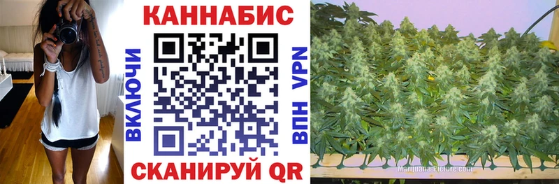 Бошки Шишки семена  Пермь 